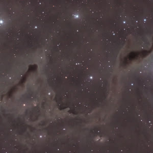 LDN 1355 - Nebulosa Mano Auxiliadora